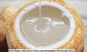 Bisnis Degan Jelly Solusi Usaha yang Menjanjikan Keuntungan Besar Bisnis Degan Jelly Solusi Usaha yang Menjanjikan Keuntungan Besar