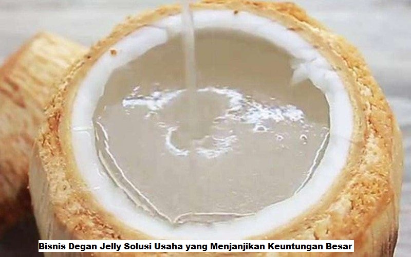 Bisnis Degan Jelly Solusi Usaha yang Menjanjikan Keuntungan Besar